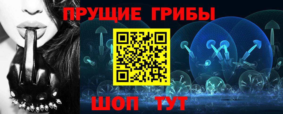 Петропавловск-Камчатский  Псилоцибиновые грибы Cubensis  Вход с VPN 